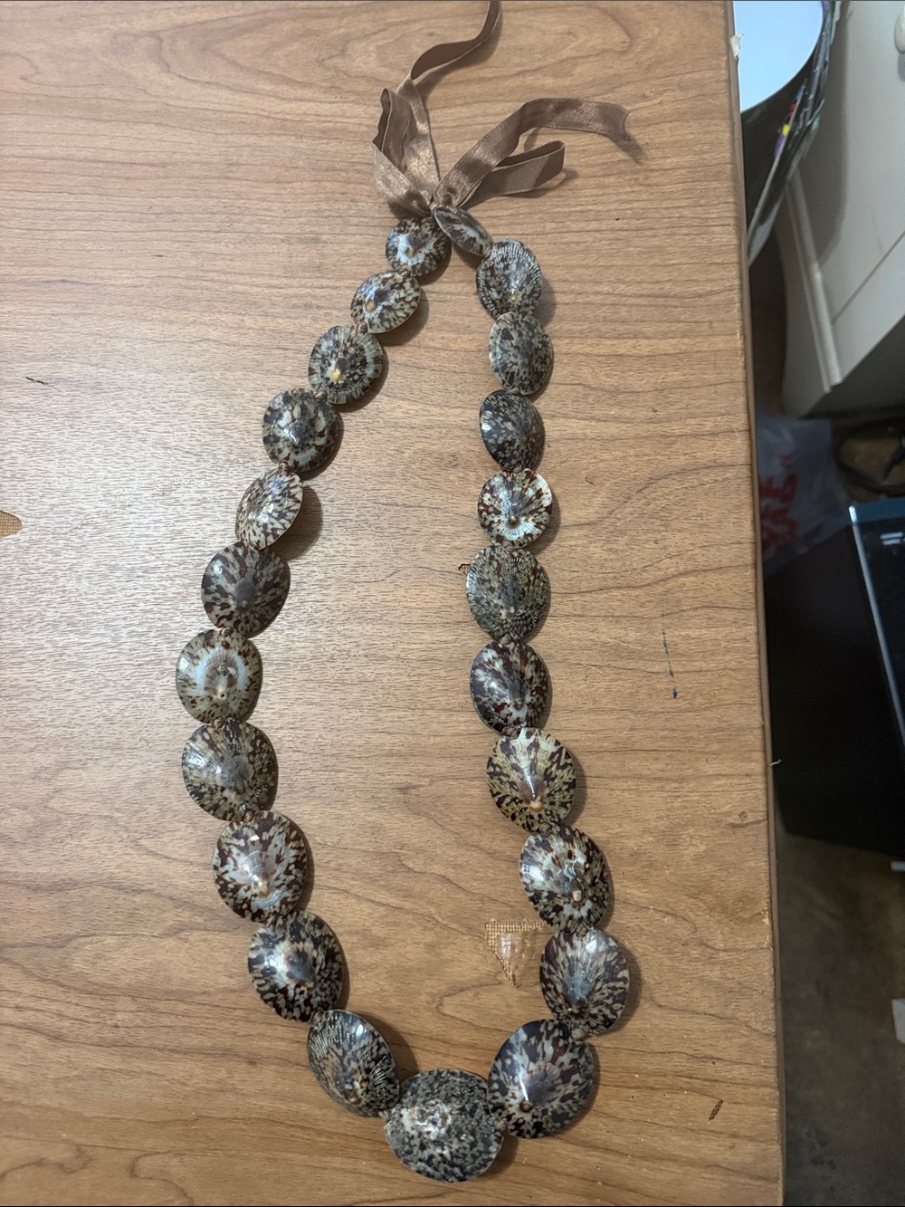 Hand-Tied Shell Disc Necklace in Brown and Cream
